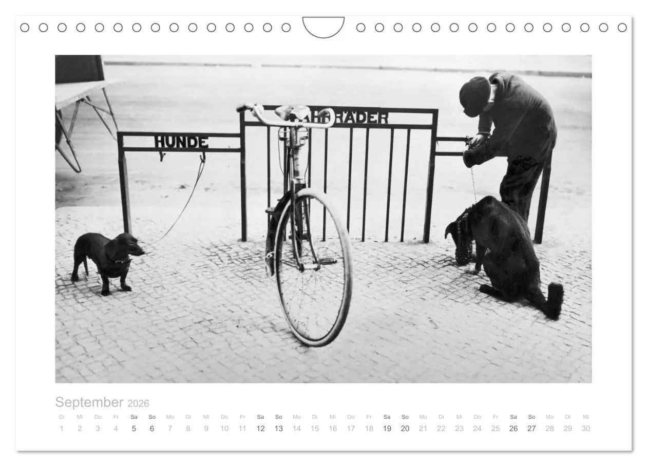 Bild: 9783516033885 | Radfahren in Berlin (Wandkalender 2026 DIN A4 quer), CALVENDO...