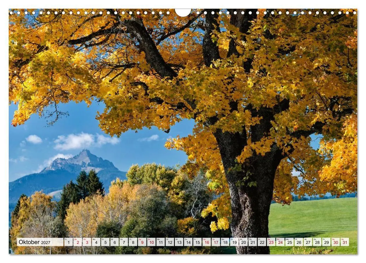 Bild: 9783594253885 | Traumhaftes Allgäu (Wandkalender 2027 DIN A3 quer), CALVENDO...