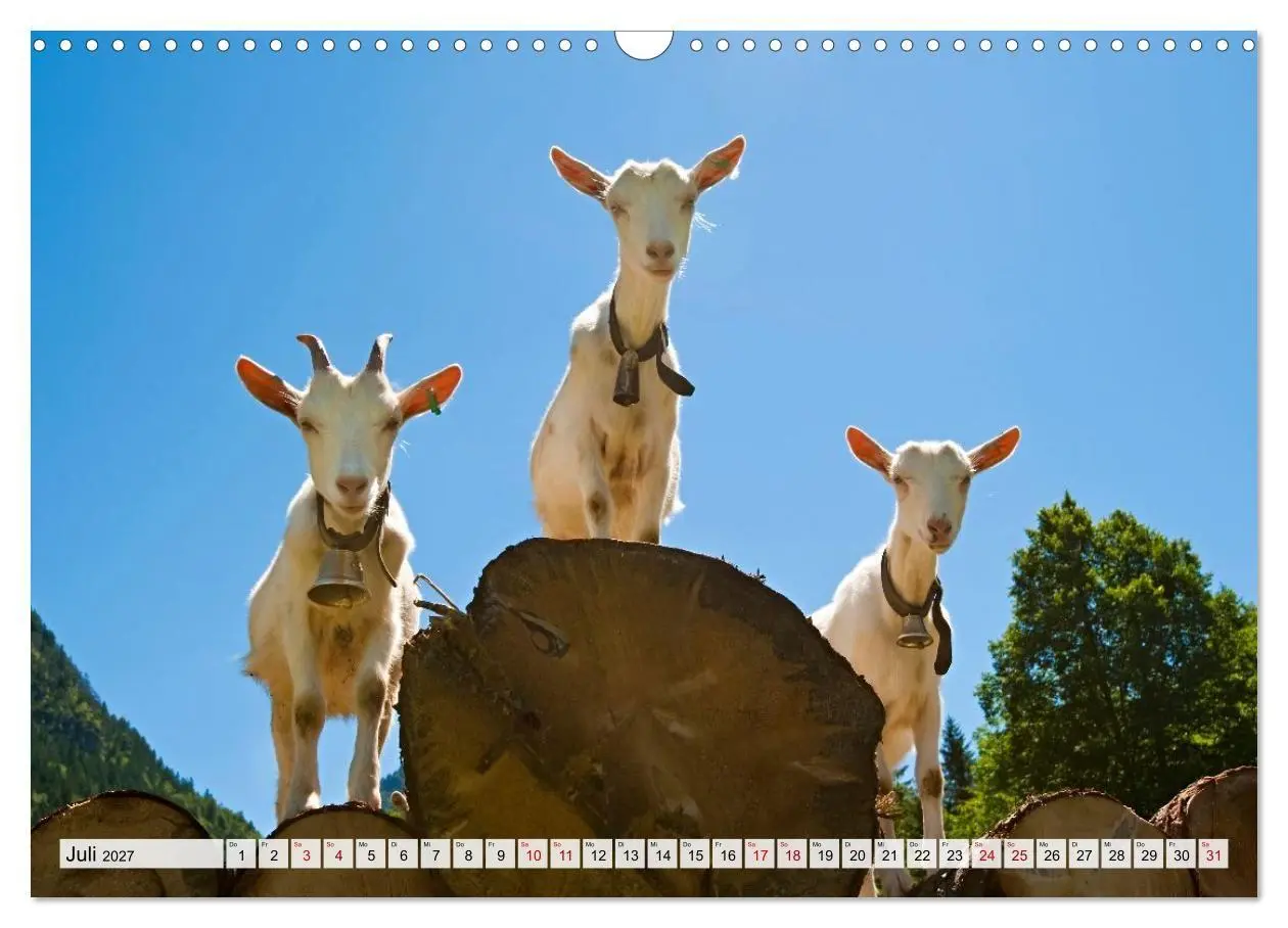 Bild: 9783594253885 | Traumhaftes Allgäu (Wandkalender 2027 DIN A3 quer), CALVENDO...