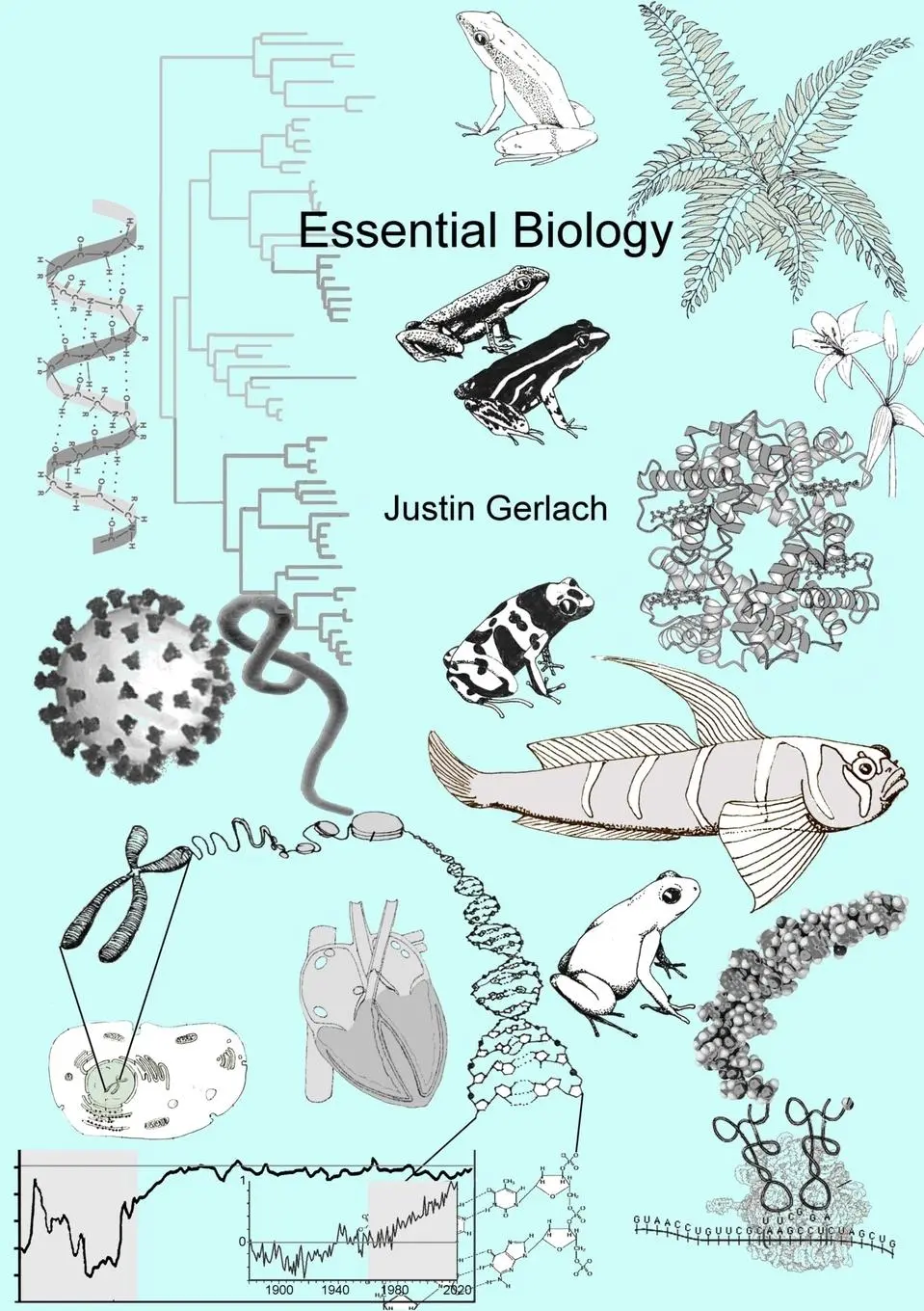 Cover: 9781008973985 | Essential Biology | Justin Gerlach | Taschenbuch | Englisch | 2021
