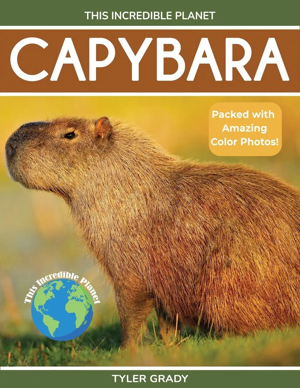 Cover: 9781647903985 | Capybara | Fascinating Animal Facts for Kids | Tyler Grady | Buch