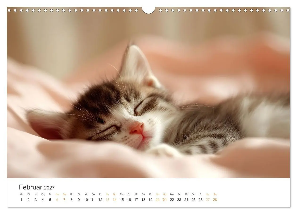 Bild: 9783569043985 | Zauberhafte Katzenbabys (Wandkalender 2027 DIN A3 quer), CALVENDO...