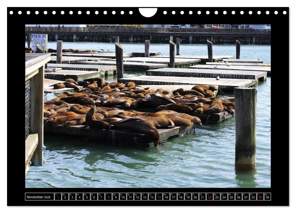 Bild: 9783516154085 | Wunderbares San Francisco (Wandkalender 2026 DIN A4 quer), CALVENDO...