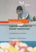Cover: 9783879664085 | Jugendsozialarbeit im Gender Mainstream | Ulrike Richter | Taschenbuch