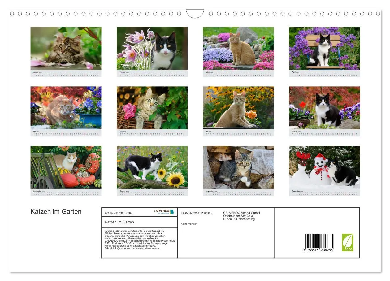 Bild: 9783516204285 | Katzen im Garten (Wandkalender 2026 DIN A3 quer), CALVENDO...