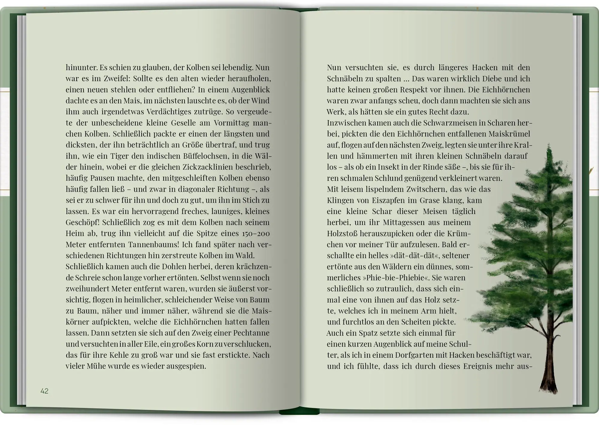 Bild: 9783649654285 | Zeit zum Durchatmen | Ein literarischer Waldspaziergang | Buch | 2026