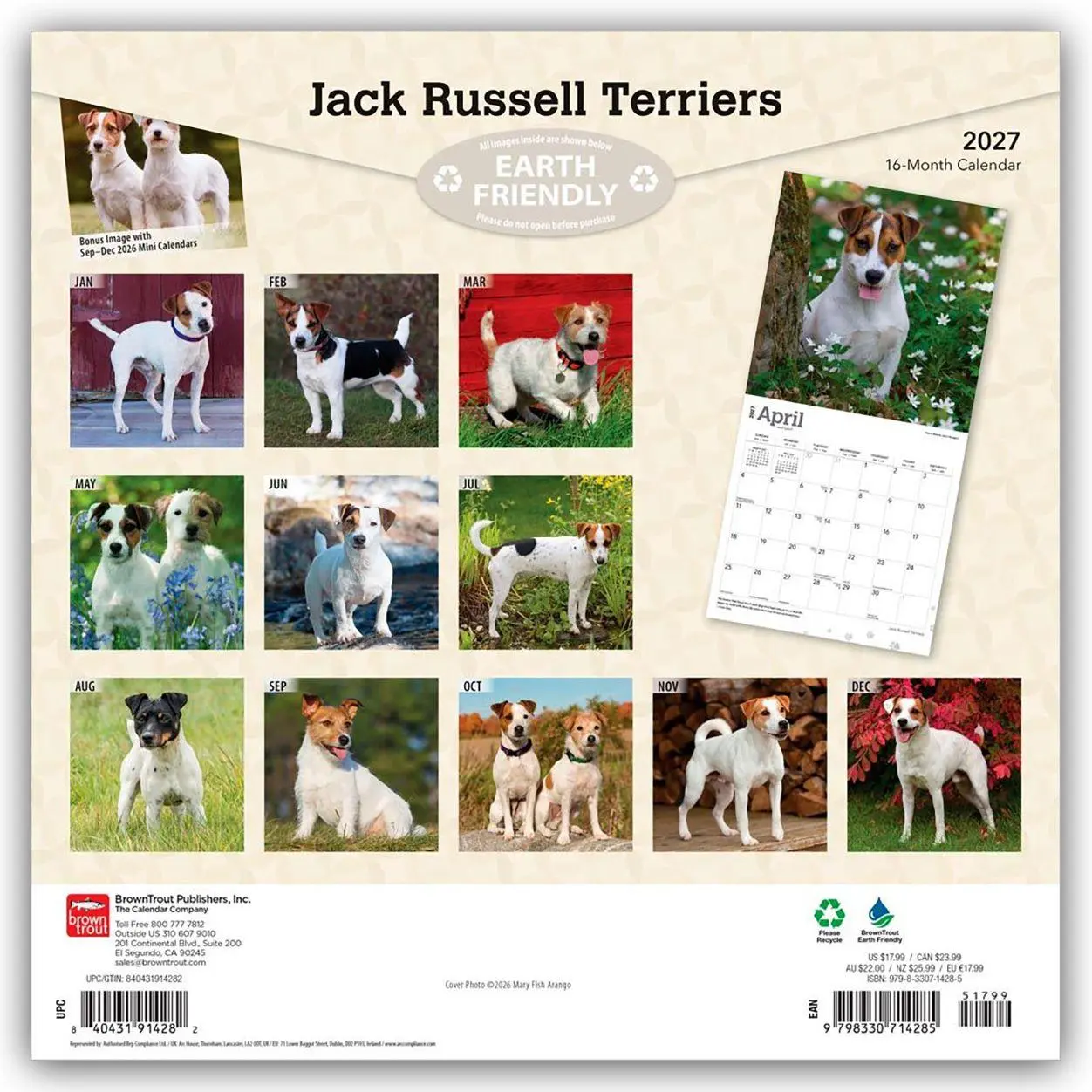 Rückseite: 9798330714285 | Jack Russel Terriers - Jack Russel Terrier 2027 - 16-Monatskalender