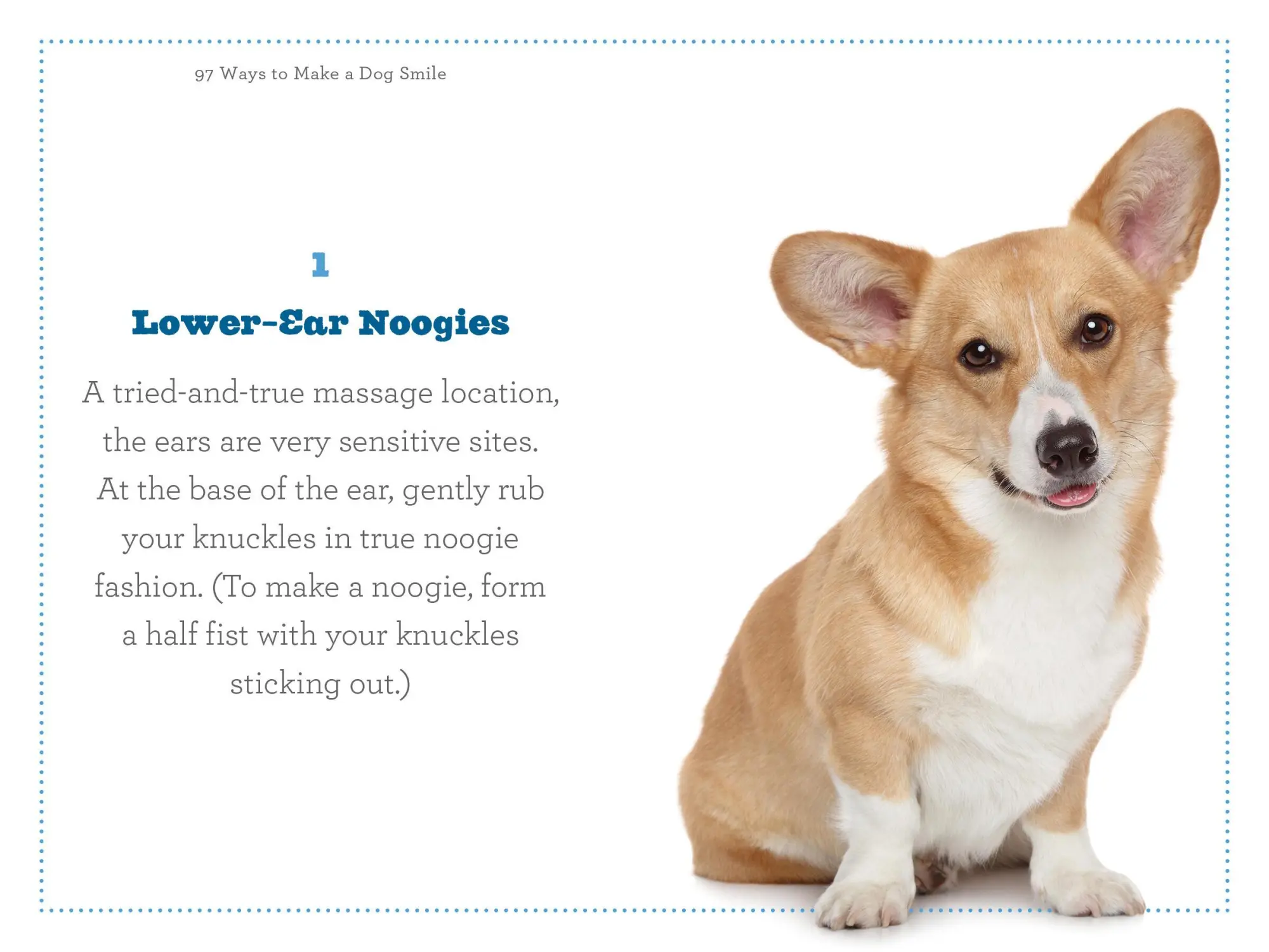 Bild: 9780761184485 | 97 Ways to Make a Dog Smile | Jenny Langbehn | Taschenbuch | Englisch