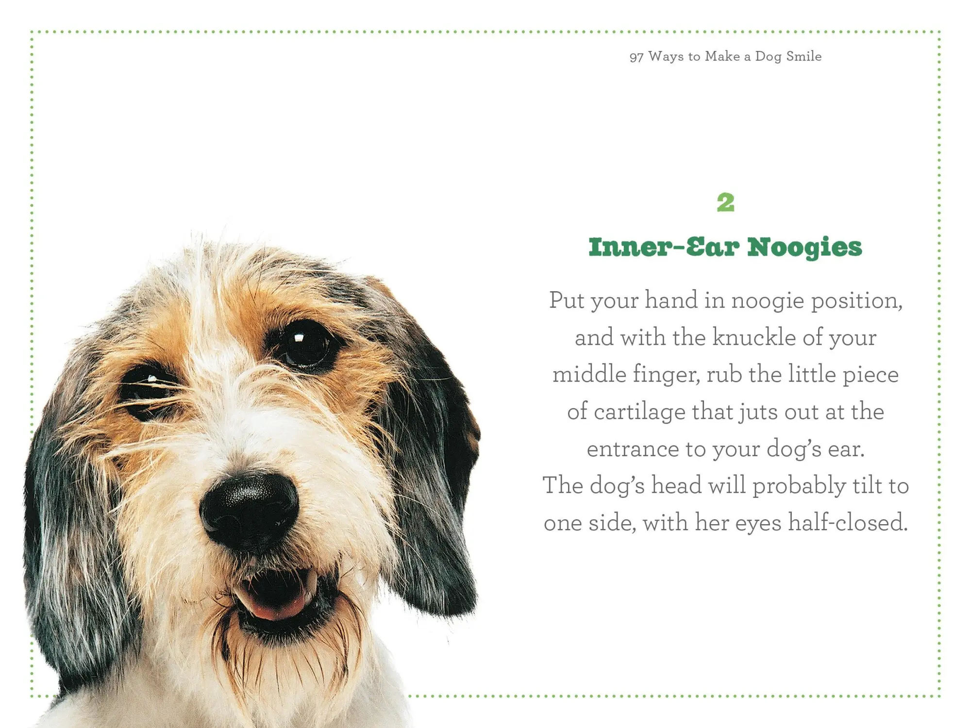 Bild: 9780761184485 | 97 Ways to Make a Dog Smile | Jenny Langbehn | Taschenbuch | Englisch