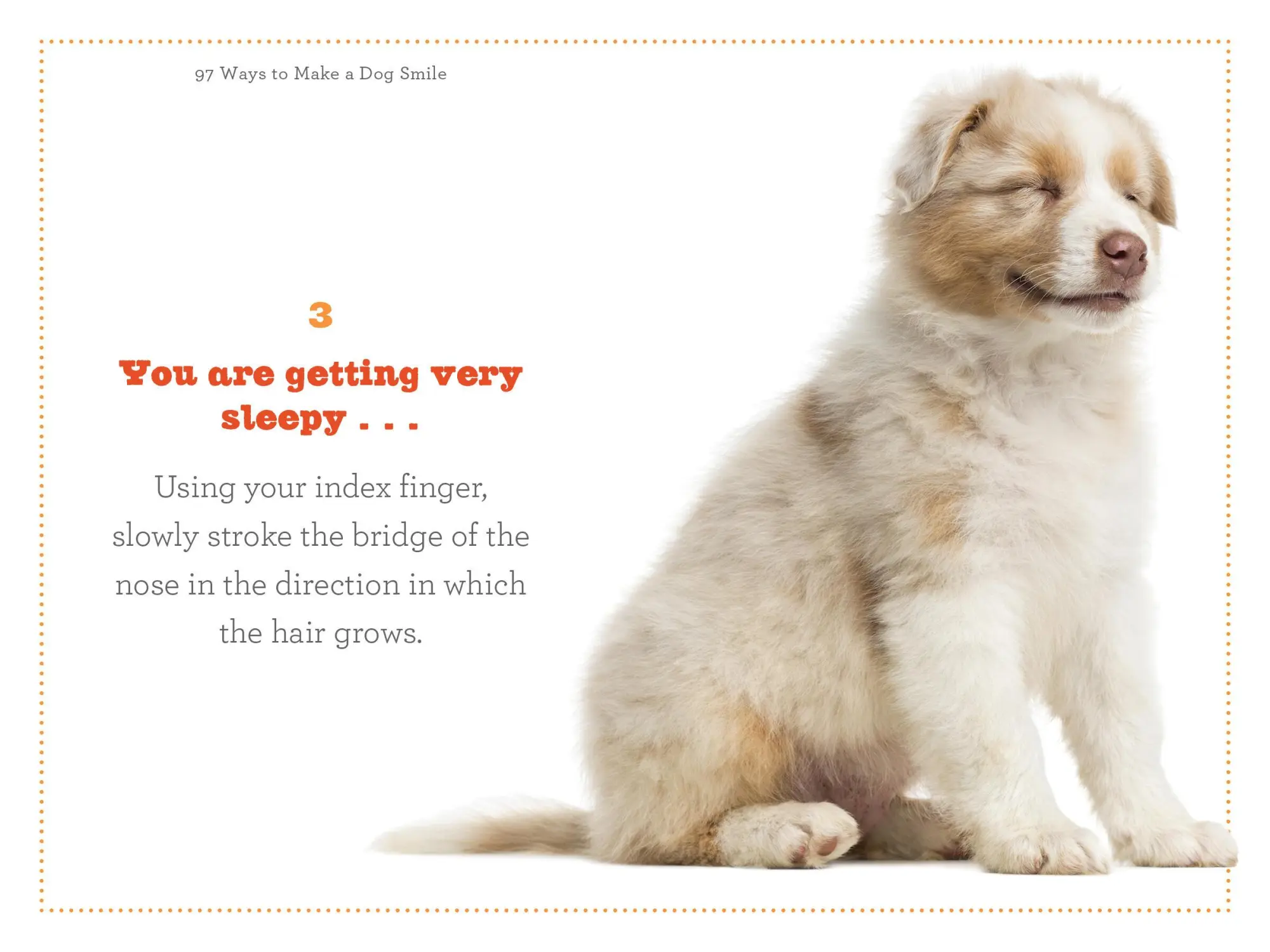 Bild: 9780761184485 | 97 Ways to Make a Dog Smile | Jenny Langbehn | Taschenbuch | Englisch