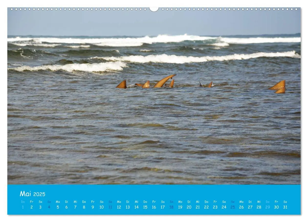Bild: 9783435244485 | Cabo verde Inselgeflüster - Ilha do Sal (Wandkalender 2025 DIN A2...