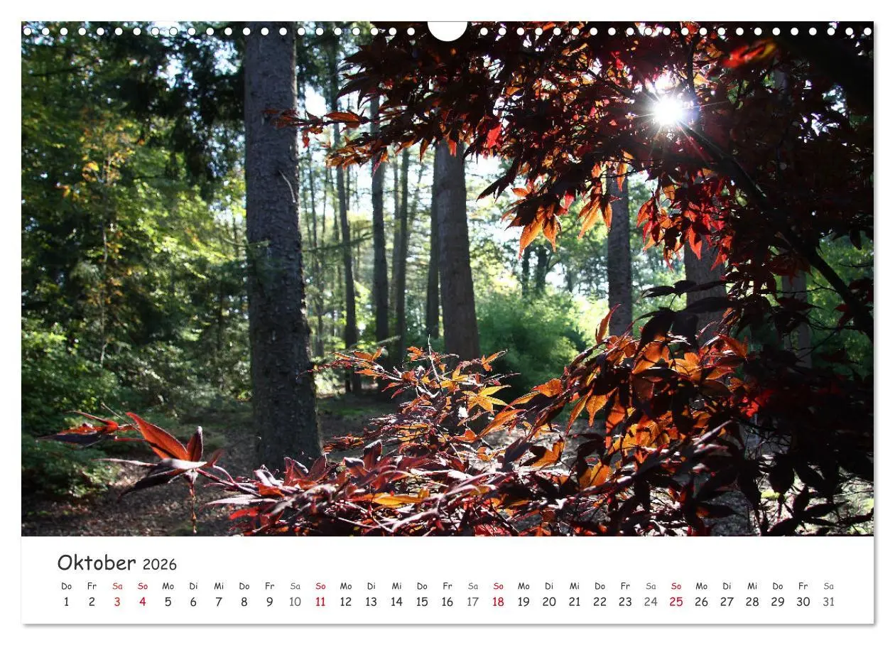 Bild: 9783457644485 | Zauberhaftes Ammerland (Wandkalender 2026 DIN A3 quer), CALVENDO...
