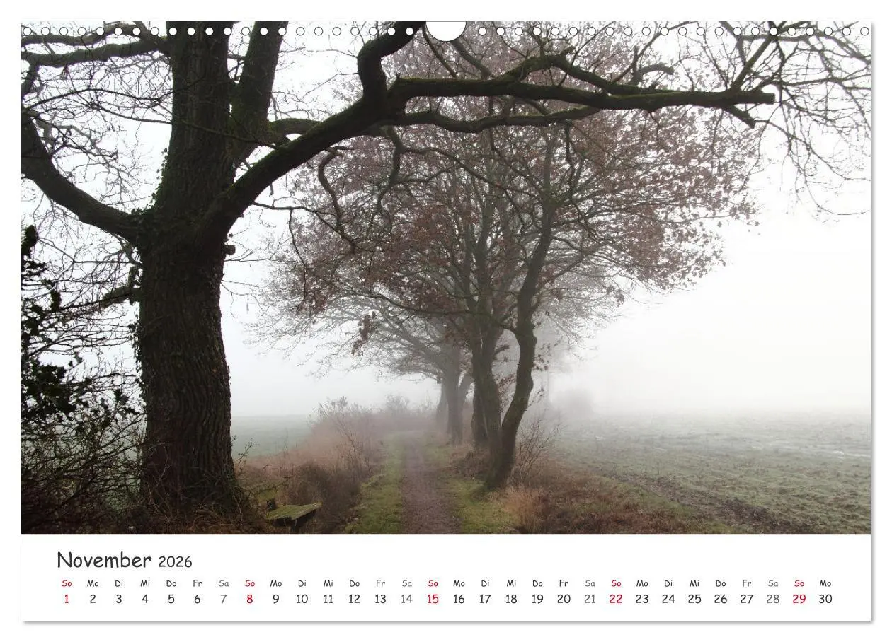 Bild: 9783457644485 | Zauberhaftes Ammerland (Wandkalender 2026 DIN A3 quer), CALVENDO...