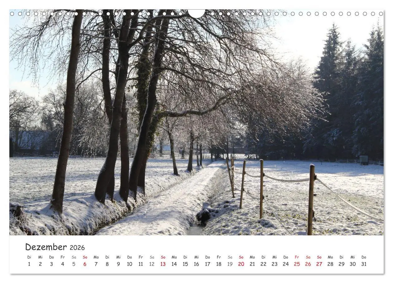 Bild: 9783457644485 | Zauberhaftes Ammerland (Wandkalender 2026 DIN A3 quer), CALVENDO...