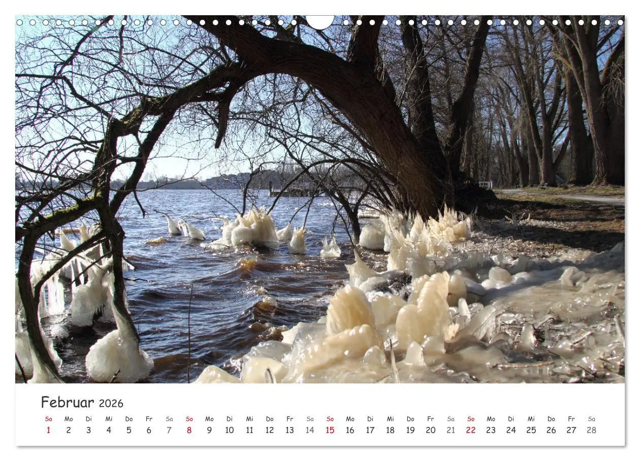 Bild: 9783457644485 | Zauberhaftes Ammerland (Wandkalender 2026 DIN A3 quer), CALVENDO...