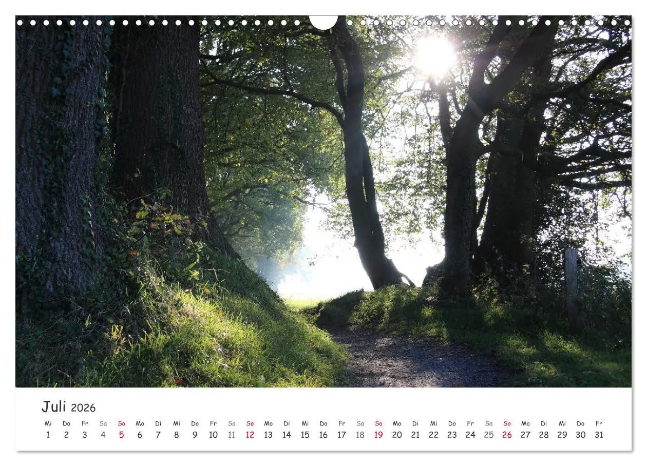 Bild: 9783457644485 | Zauberhaftes Ammerland (Wandkalender 2026 DIN A3 quer), CALVENDO...