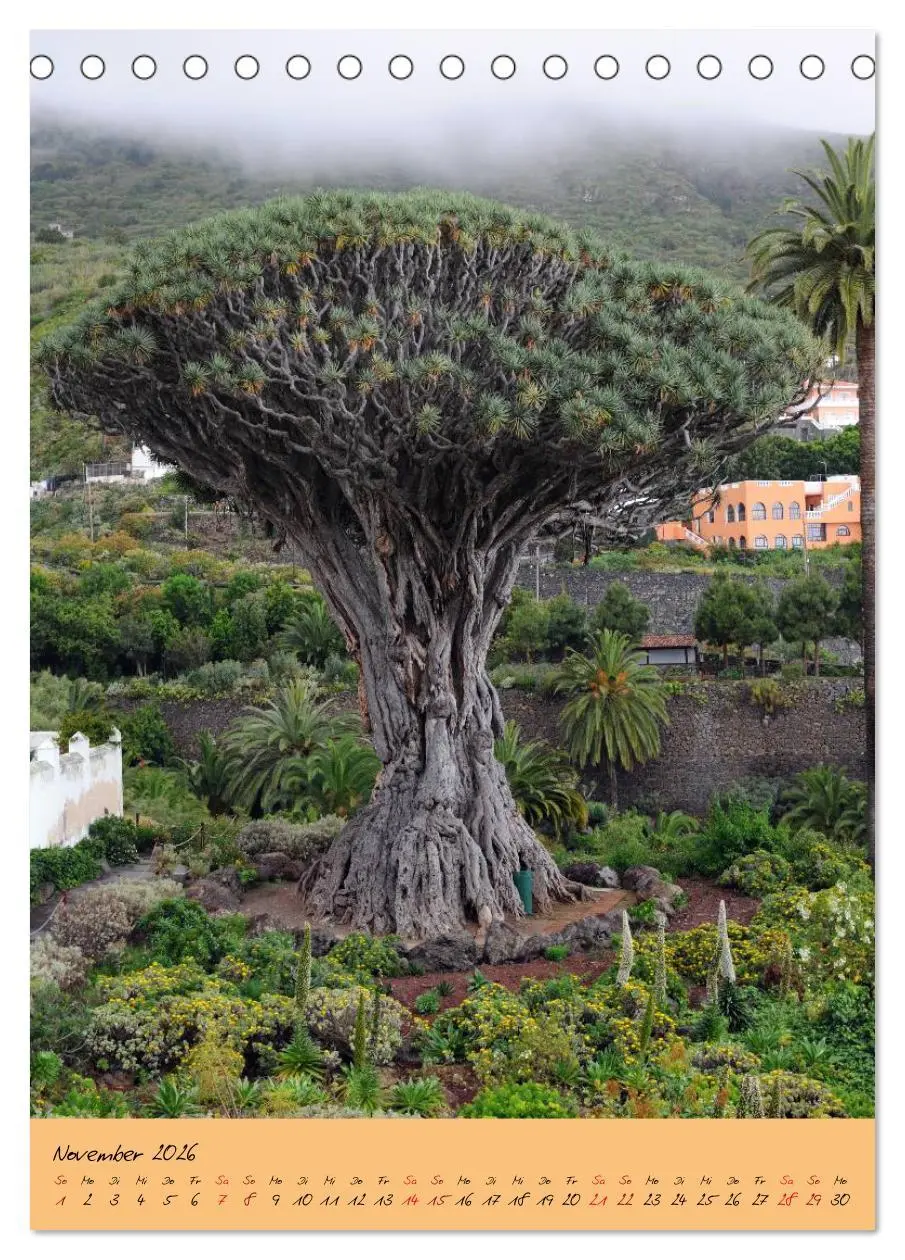 Bild: 9783516424485 | Vulkaninsel Teneriffa (Tischkalender 2026 DIN A5 hoch), CALVENDO...
