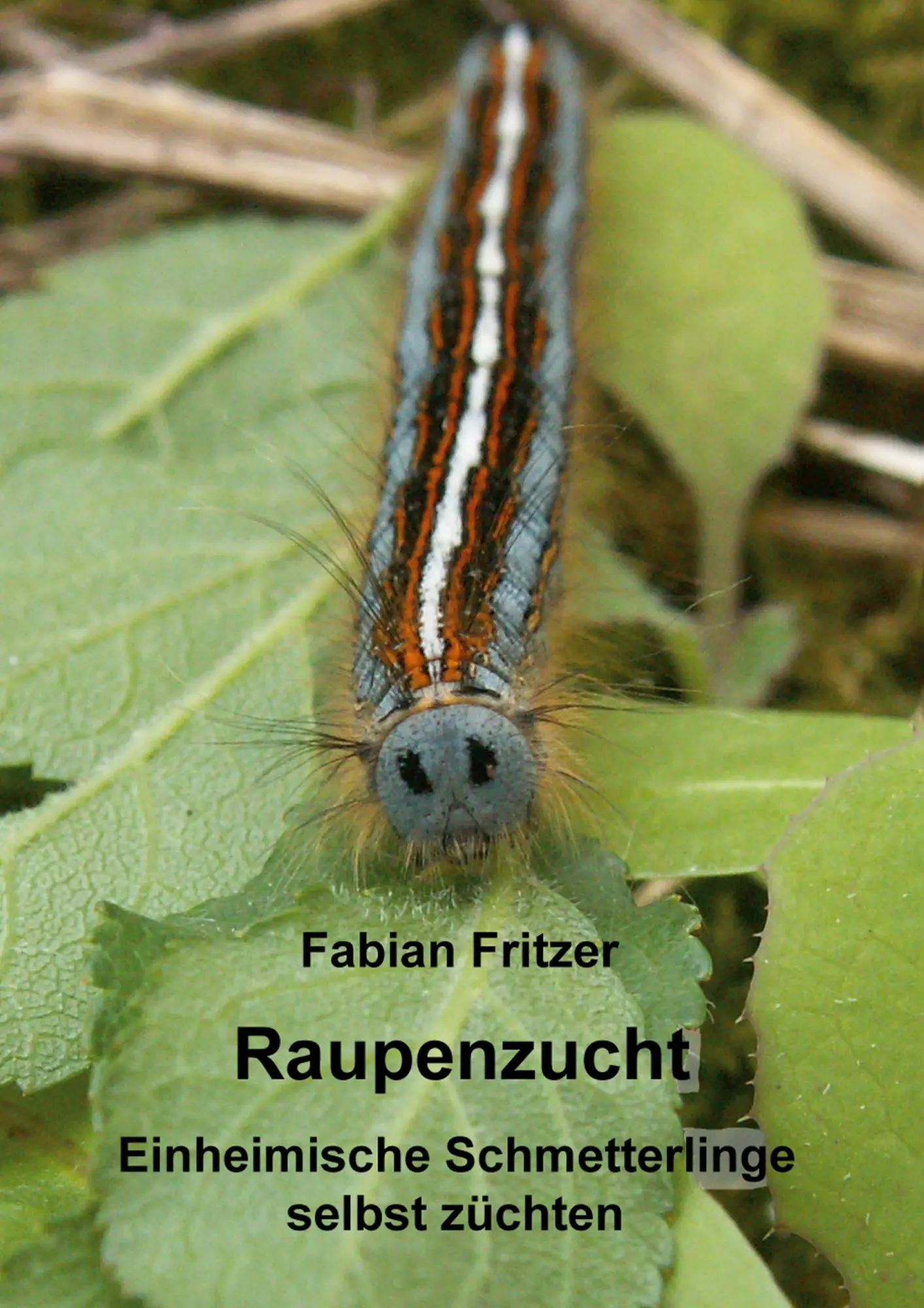 Cover: 9783769354485 | Raupenzucht | Einheimische Schmetterlinge selbst züchten | Fritzer
