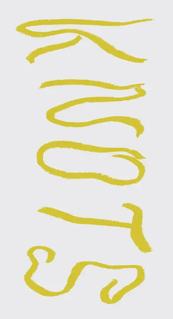 Cover: 9783775744485 | Seth Price | Knots | Bettina Funcke | Taschenbuch | 102 S. | Englisch