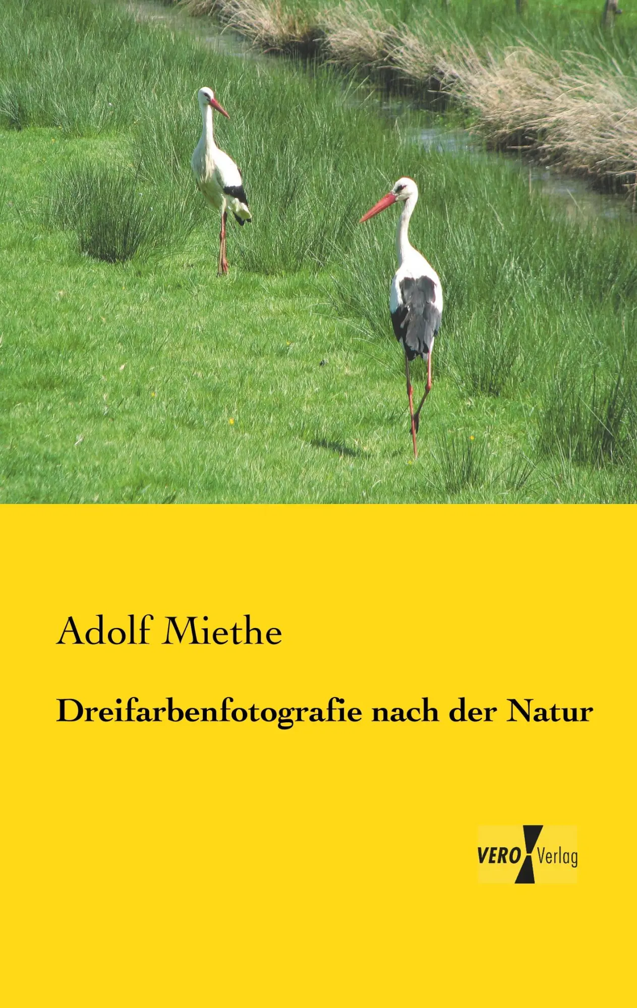 Cover: 9783957384485 | Dreifarbenfotografie nach der Natur | Adolf Miethe | Taschenbuch