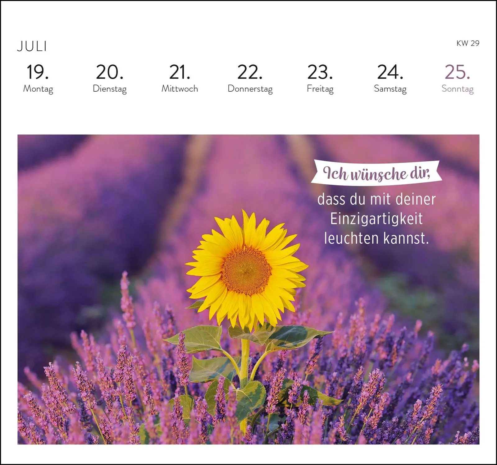 Bild: 4036442014585 | Postkartenkalender 2027: Was ich dir wünsche für jeden Tag | Verlag
