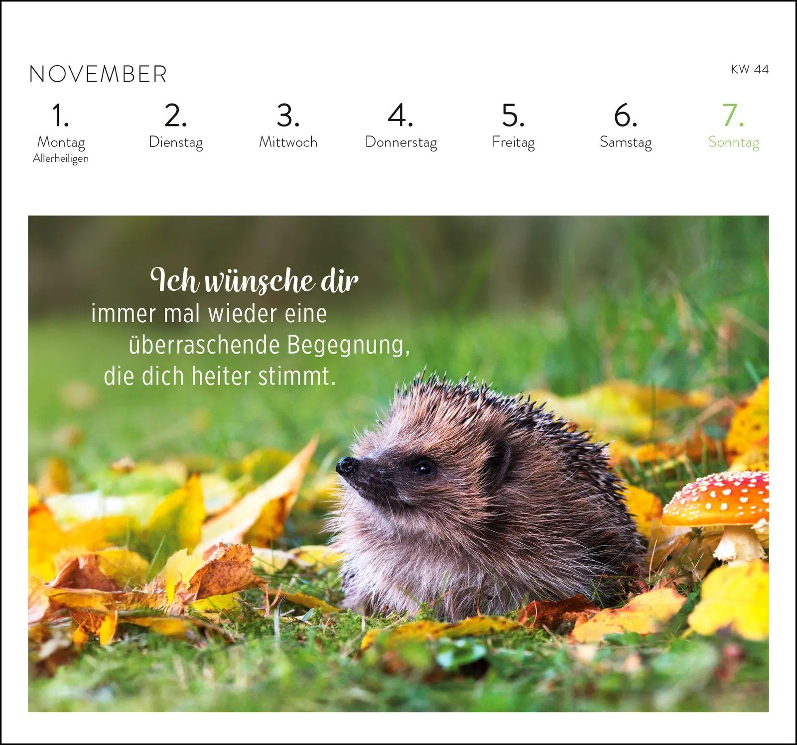 Bild: 4036442014585 | Postkartenkalender 2027: Was ich dir wünsche für jeden Tag | Verlag