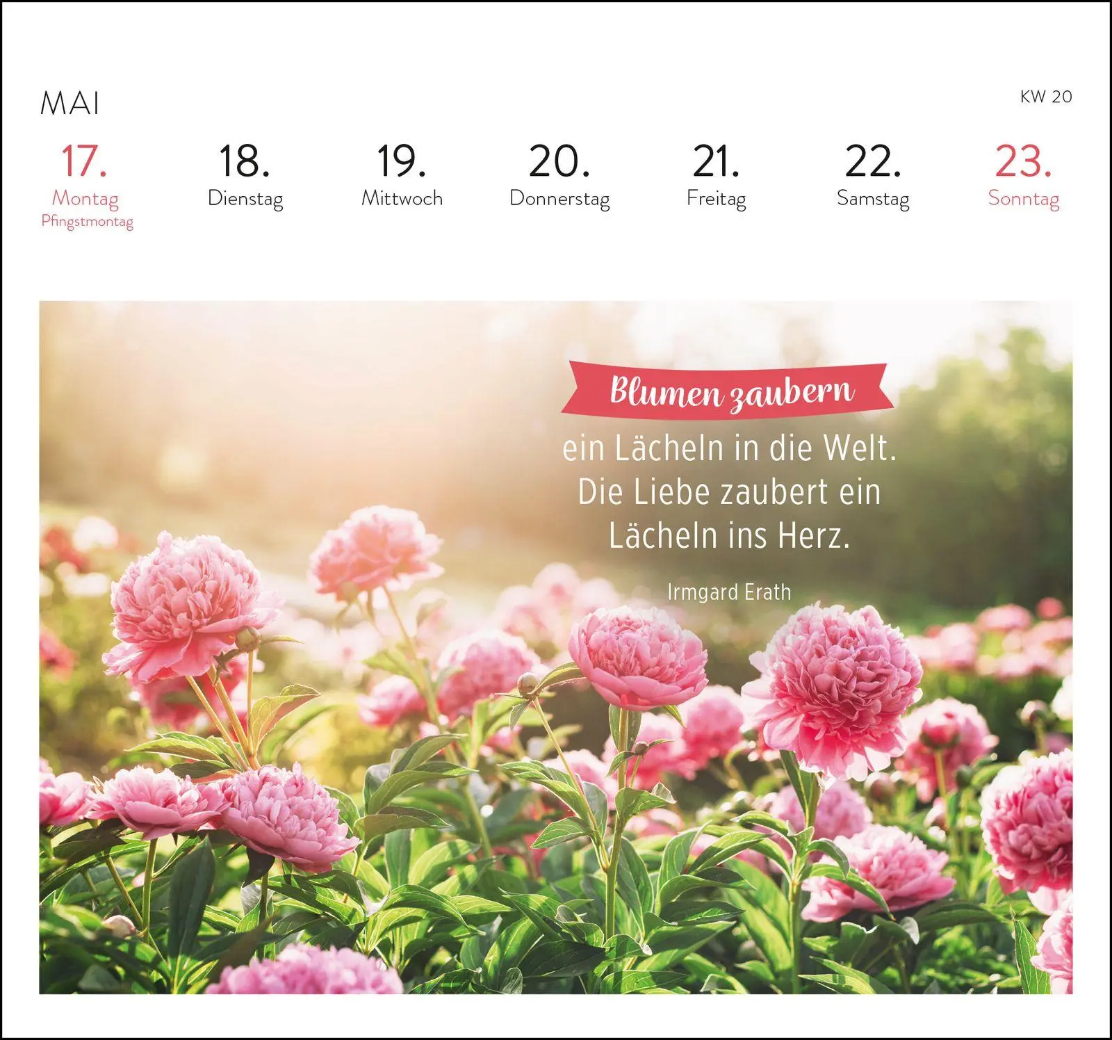 Bild: 4036442014585 | Postkartenkalender 2027: Was ich dir wünsche für jeden Tag | Verlag