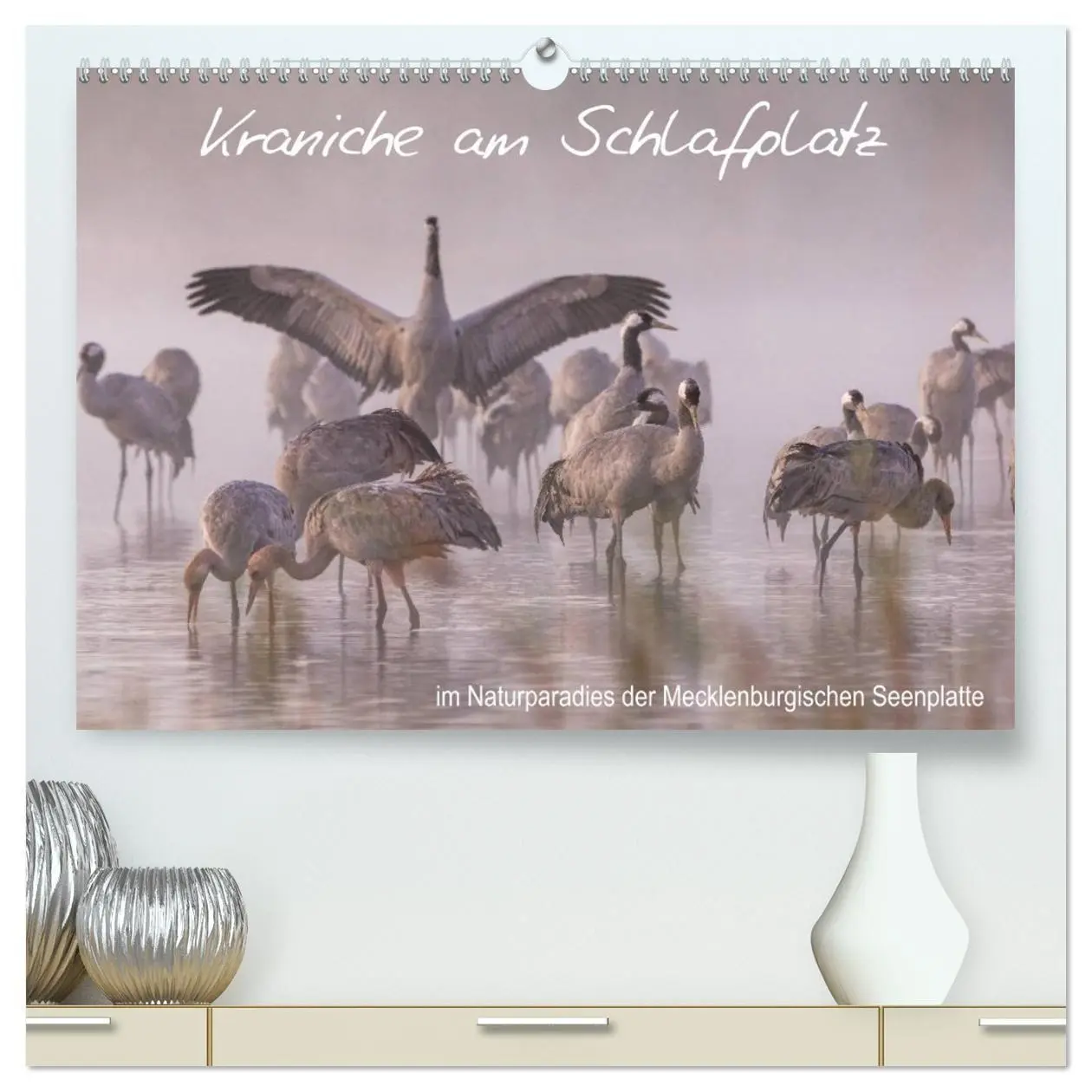 Cover: 9783457704585 | Kraniche am Schlafplatz - im Naturparadies der Mecklenburgischen...