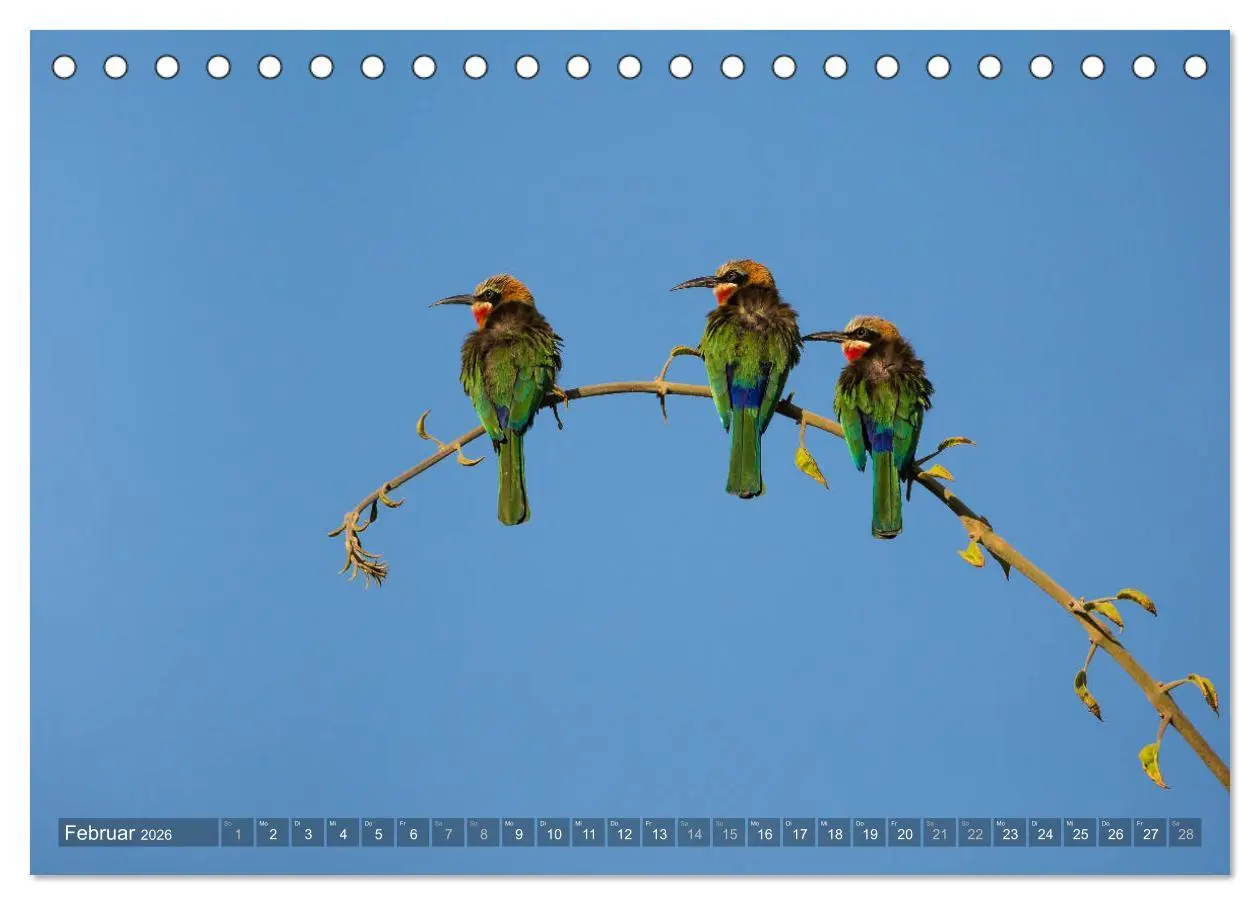 Bild: 9783457874585 | Abenteuer Sambia (Tischkalender 2026 DIN A5 quer), CALVENDO...