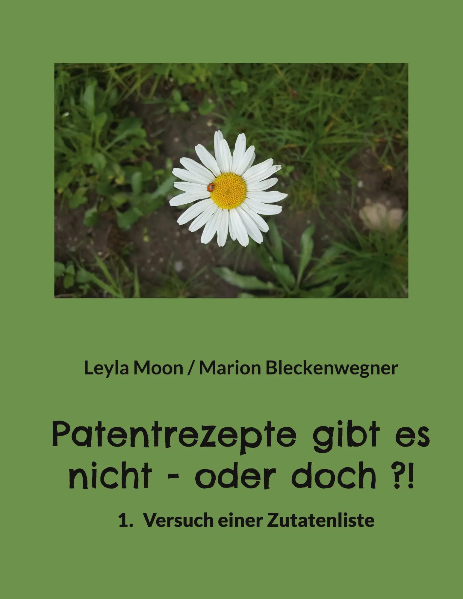 Cover: 9783756234585 | Patentrezepte gibt es nicht - oder doch ?! | Bleckenwegner (u. a.)