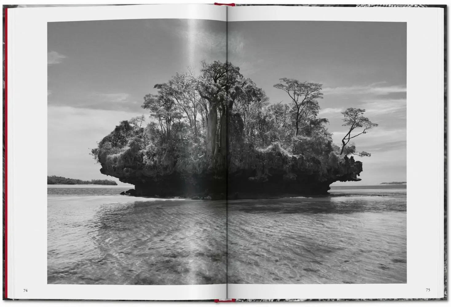 Bild: 9783836594585 | Sebastião Salgado. Génesis | Lélia Wanick Salgado | Buch | 192 S.