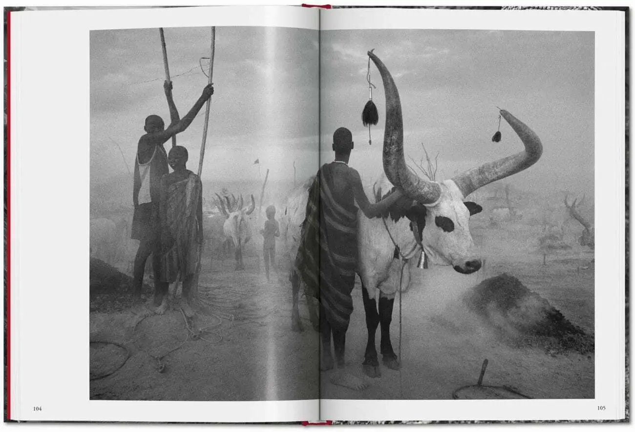 Bild: 9783836594585 | Sebastião Salgado. Génesis | Lélia Wanick Salgado | Buch | 192 S.