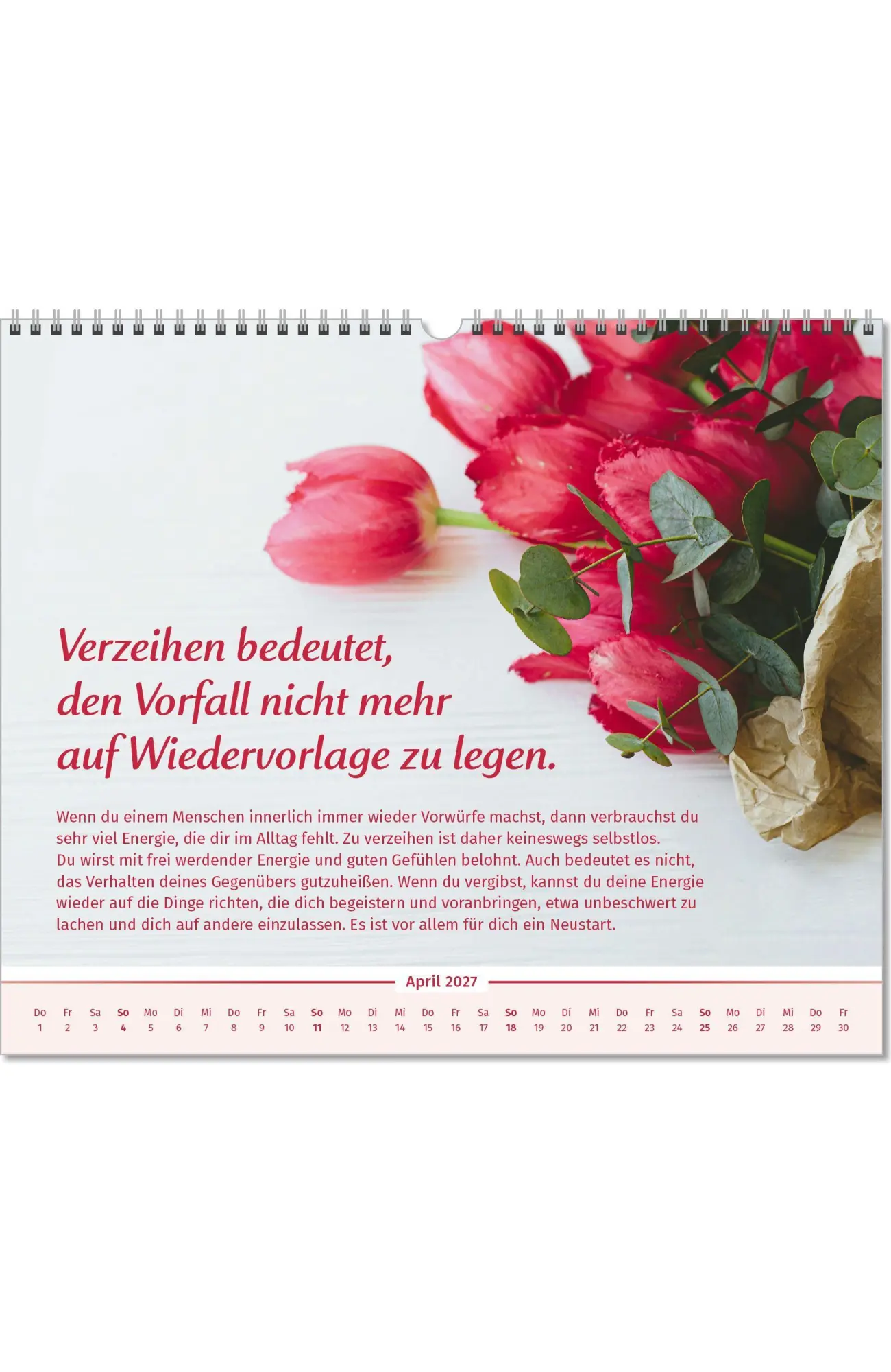 Bild: 9783910294585 | Der Lebensfreude-Inspirationen-Kalender 2027 | Doris Wolf (u. a.)