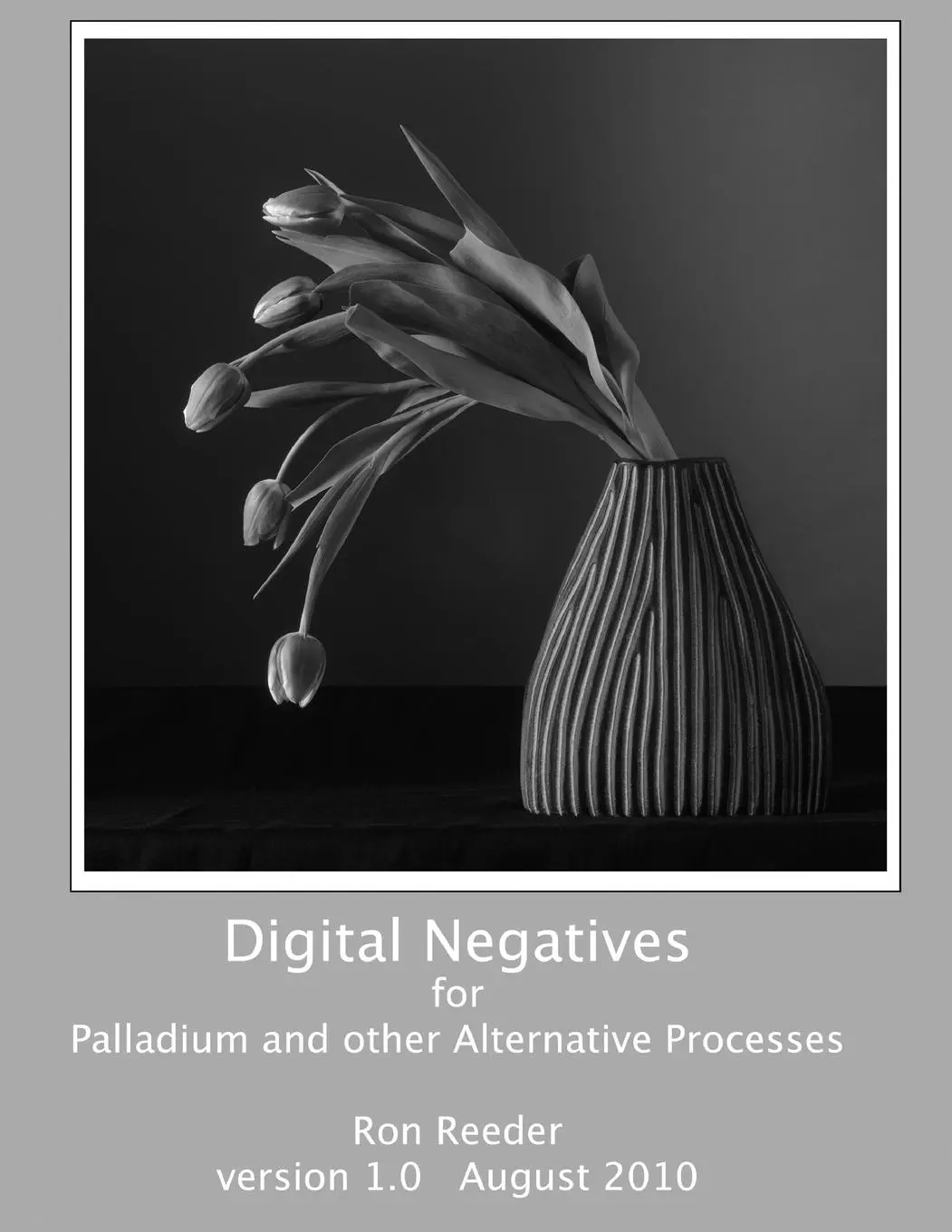 Cover: 9780557604685 | Digital Negatives for palladium and other alternative processes | Buch