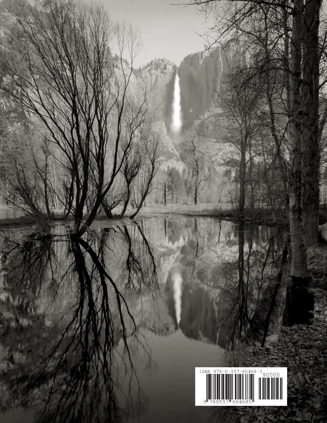 Rückseite: 9780557604685 | Digital Negatives for palladium and other alternative processes | Buch