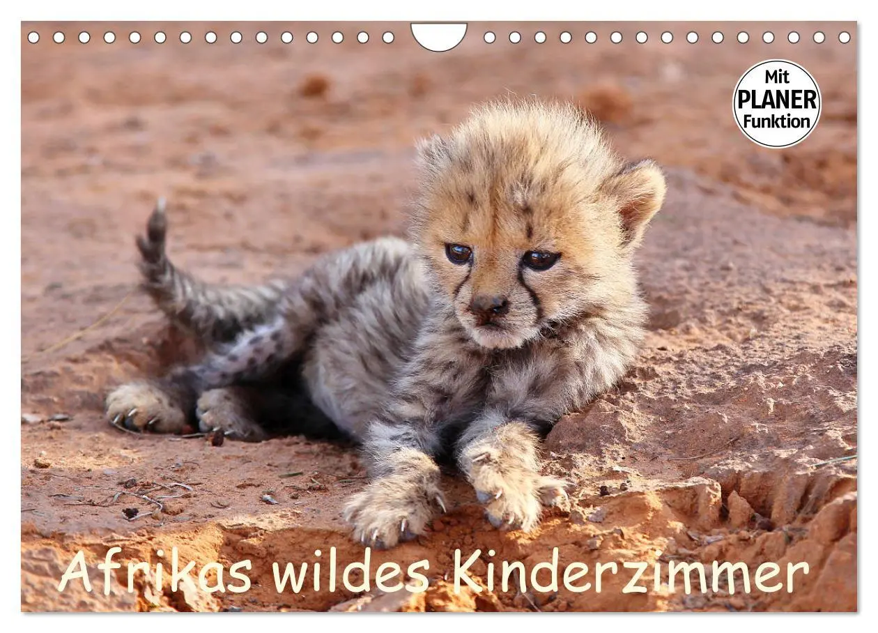 Cover: 9783435524785 | Afrikas wildes Kinderzimmer (Wandkalender 2025 DIN A4 quer),...
