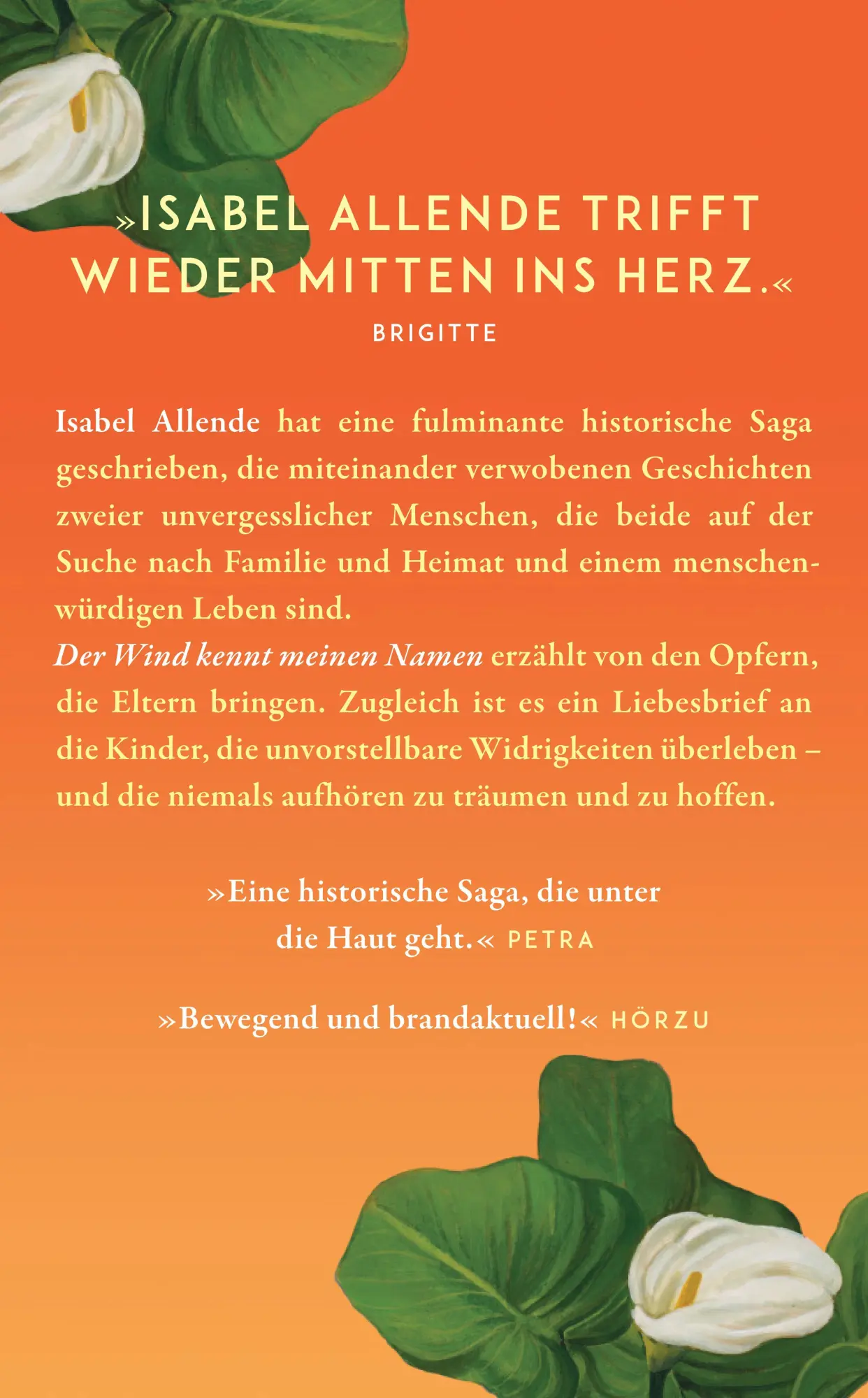 Rückseite: 9783518474785 | Der Wind kennt meinen Namen | Isabel Allende | Taschenbuch | 335 S.