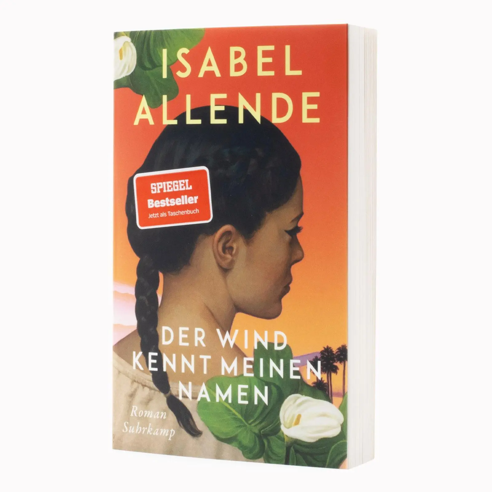 Bild: 9783518474785 | Der Wind kennt meinen Namen | Isabel Allende | Taschenbuch | 335 S.