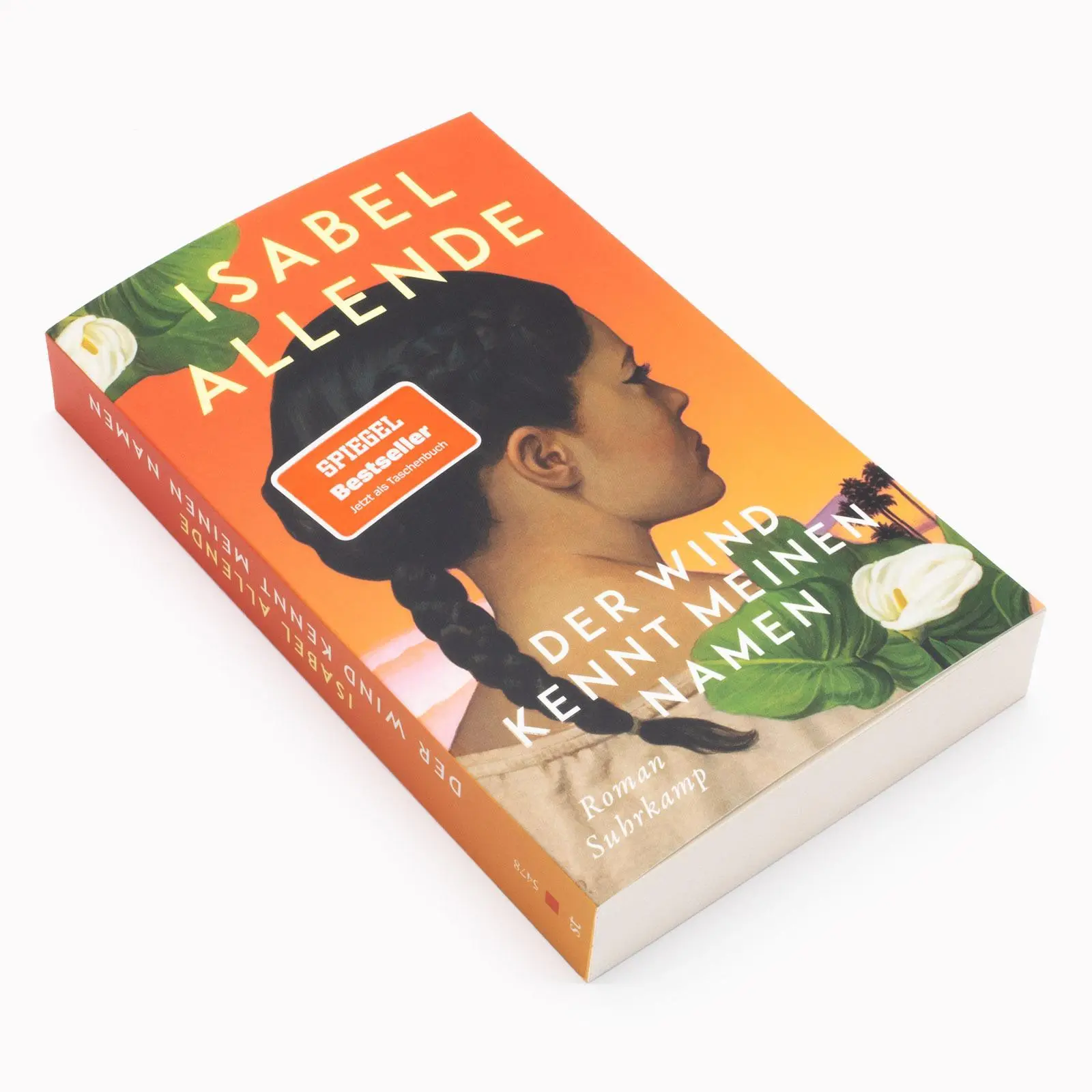 Bild: 9783518474785 | Der Wind kennt meinen Namen | Isabel Allende | Taschenbuch | 335 S.