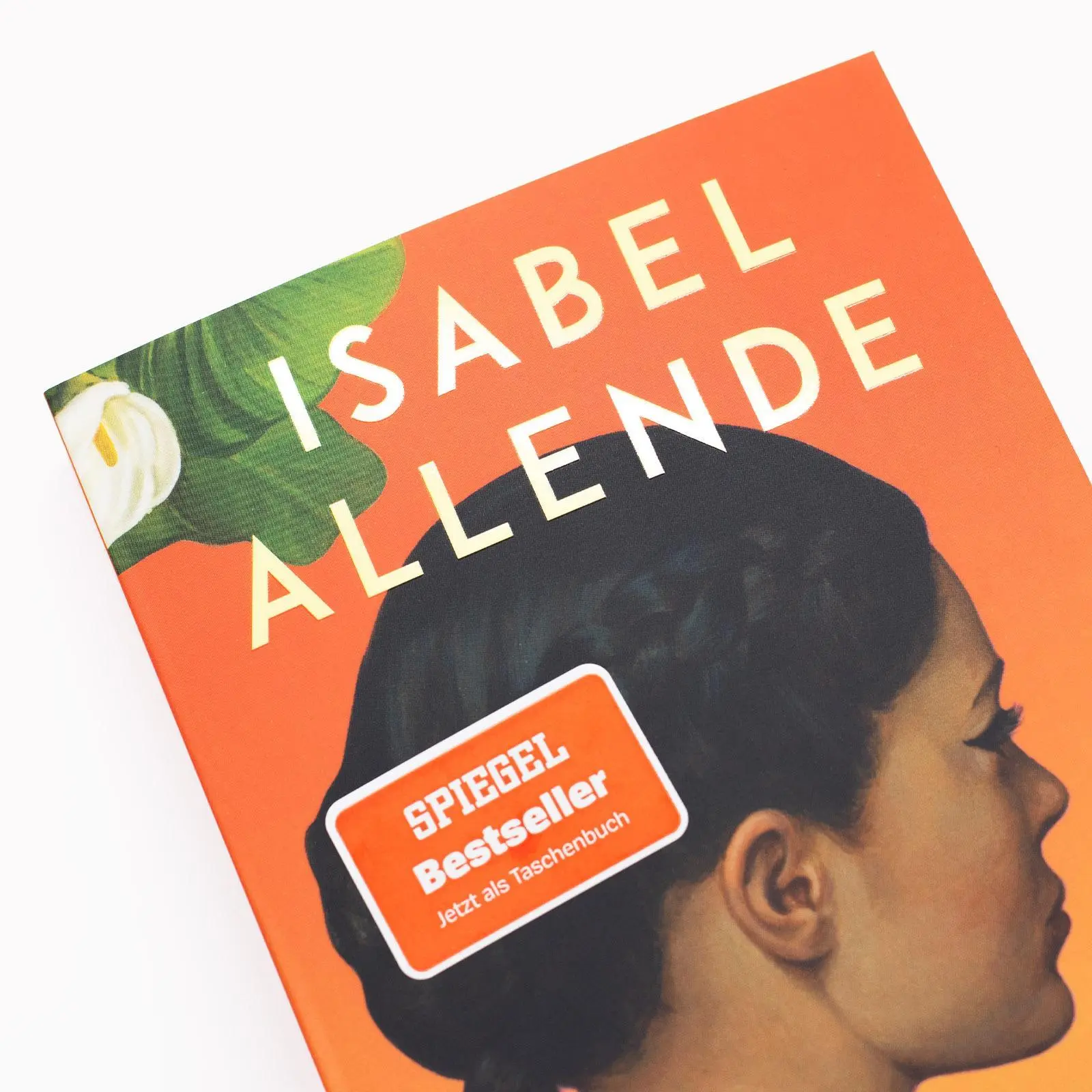 Bild: 9783518474785 | Der Wind kennt meinen Namen | Isabel Allende | Taschenbuch | 335 S.