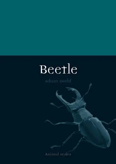 Cover: 9781780234885 | Beetle | Adam Dodd | Taschenbuch | Reaktion Books - Animal | Englisch