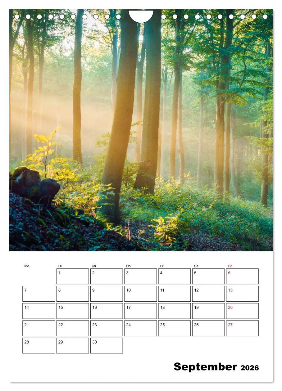 Bild: 9783516484885 | Usedom - Inseltraum im Norden (Wandkalender 2026 DIN A4 hoch),...