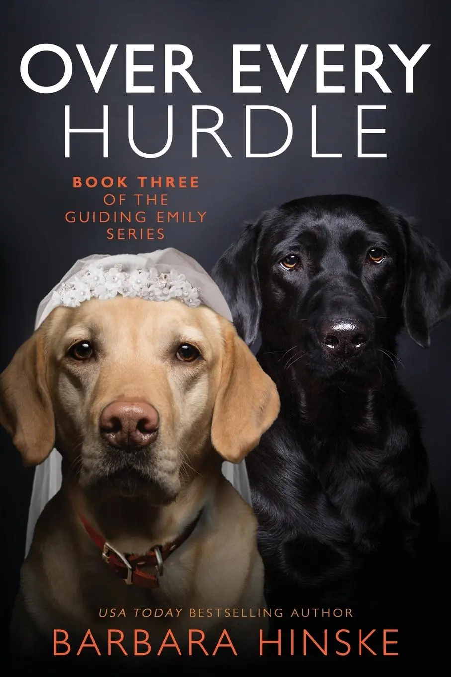 Cover: 9781734924985 | Over Every Hurdle | Barbara Hinske | Taschenbuch | Englisch | 2022