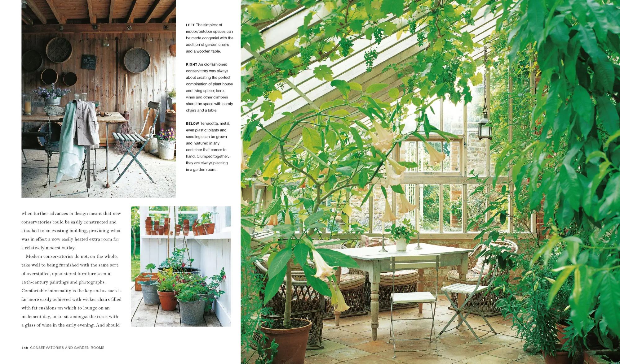 Bild: 9781788794985 | The Comforts of Home | Caroline Clifton Mogg | Buch | Gebunden | 2023