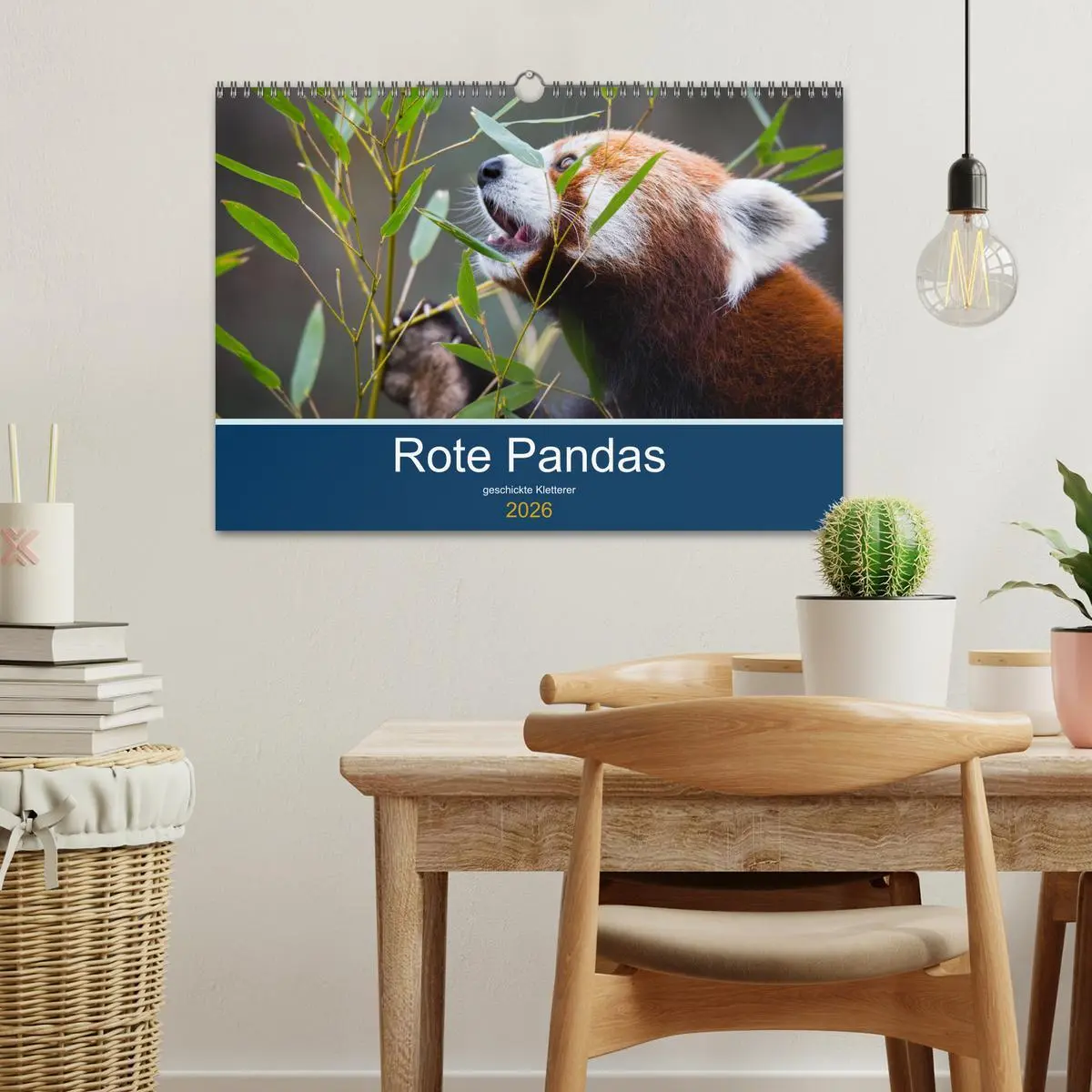 Bild: 9783457834985 | Rote Pandas - geschickte Kletterer (Wandkalender 2026 DIN A3 quer),...