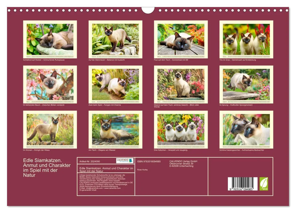 Bild: 9783516094985 | Edle Siamkatzen. Anmut und Charakter im Spiel mit der Natur...