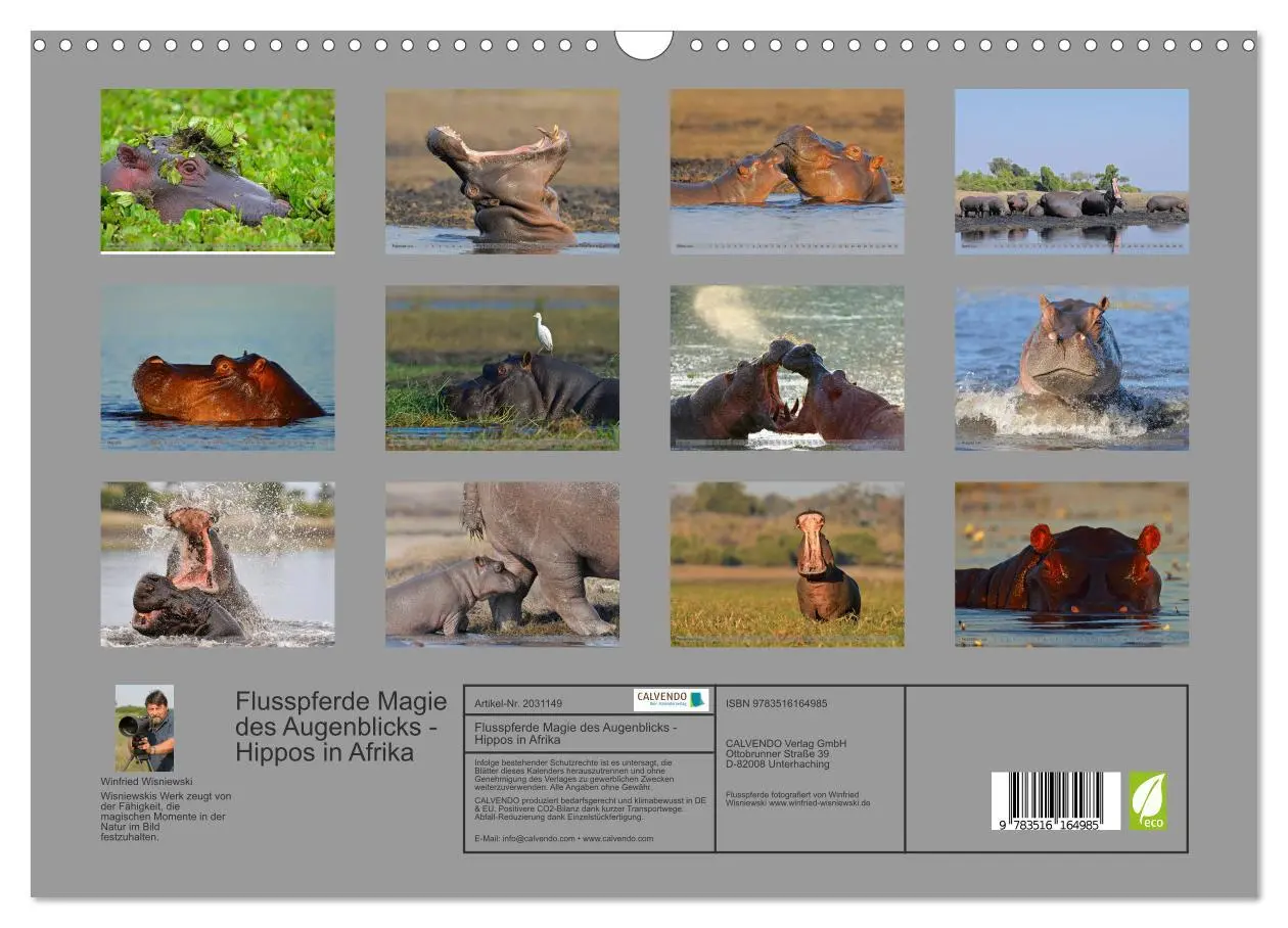 Bild: 9783516164985 | Flusspferde Magie des Augenblicks - Hippos in Afrika (Wandkalender...