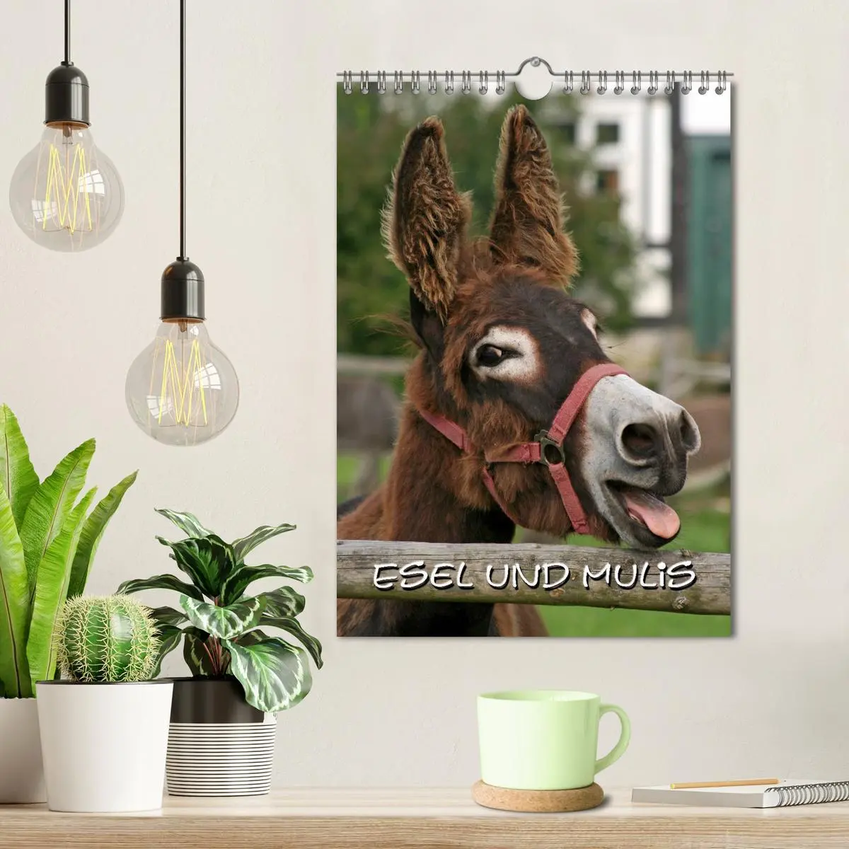 Bild: 9783516474985 | Esel und Mulis (Wandkalender 2026 DIN A4 hoch), CALVENDO...