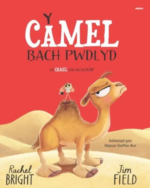 Cover: 9781801065085 | Y Camel Bach Pwdlyd / The Camel who had the hump | Rachel Bright