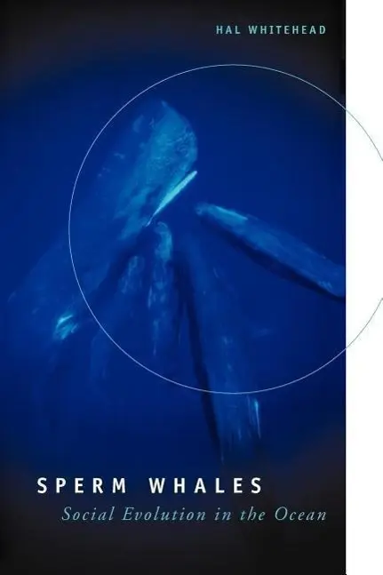 Cover: 9780226895185 | Sperm Whales | Social Evolution in the Ocean | Hal Whitehead | Buch